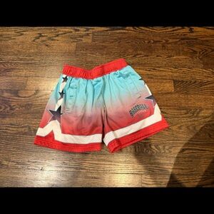 Baseball lifestyle 101 championships shorts youth small